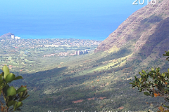 Hawaii_Forest_Action_Plan_2016